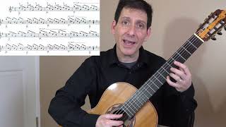 Guided Lesson Estudio Study in e minor  Francisco Tárrega Philip Hemmo classical guitar [upl. by Esilehs904]