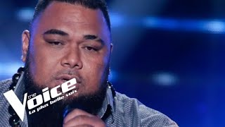 James Brown – Its a Mans Mans Mans World  Jimmy  The Voice France 2020  Blind Audition [upl. by Agn]