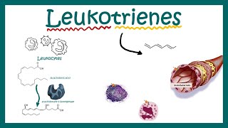 Leukotrienes  structure  function and association with disease [upl. by Aronid700]