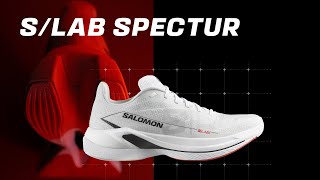 SLAB Spectur – Salomon’s Super Shoe for Everyday Runners  INSIDE SALOMON [upl. by Ailina]