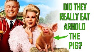 Whatever Happened to Arnold Ziffel  The Pig from quotGreen Acresquot [upl. by Ecam383]