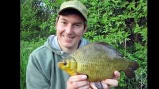 Rocklands Mere Fishery  Crucian Carp Fishing Norfolk [upl. by Ardelis]