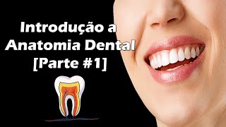 Introdução à Anatomia Dental  Faces e Divisão Anatômica dos Dentes  Parte 1 [upl. by Leatrice]