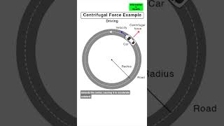 Understanding Centrifugal Force shorts [upl. by Einon]