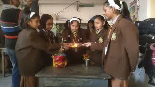 St Josephs School Sitamarhi तुलसी पूजन दिवस [upl. by Atteval529]