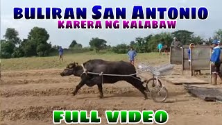 full video Buliran San Antonio nueva ecija karera ng kalabaw 2024 [upl. by Dede177]