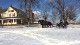 HorseDrawn Sleigh Rides [upl. by Boynton]