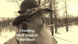 Checking Wolf Traps in the Snow 2023 [upl. by Yokum]