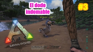 UN DODO INDOMABLE  ARK Survival Evolved PS4 3  Servidor Oficial PVE [upl. by Delcina]