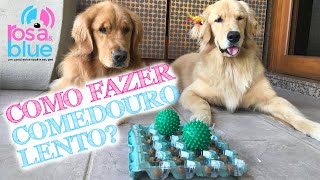 COMO FAZER COMEDOURO PARA CACHORRO I GOLDEN RETRIEVER ROSAEBLUE [upl. by Kantos]