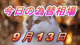 【TAKA FX】ドル、円、ユーロ、ポンド、豪ドルの為替相場の前日の動きをチャートから解説。9月13日 [upl. by Engenia805]