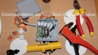 Elektroinstallation das Verdrahten einer Abzweigdose [upl. by Coffin795]