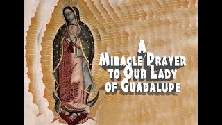 A Miracle Prayer to Our Lady of Guadalupe [upl. by Ayouqes]