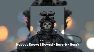 Nobody Knows Slowed Reverb And Bass boosted [upl. by Auqeenwahs328]