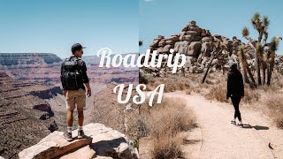 Unser USA Roadtrip beginnt  Joshua Tree Nationalpark Route 66 amp Grand Canyon  Weltreise Vlog 48 [upl. by Ebocaj509]