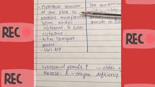 Vesicular transport VS Cisternal maturation model [upl. by Annazor447]