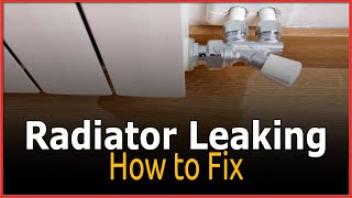 How to Fix a Leaking Radiator Radiator Leaking [upl. by Nylasor]