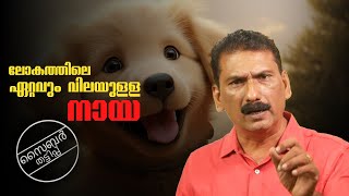 വാട്ട്സ് ആപ്പ് ചാറ്റിലൂടെ ഒരു അടിപൊളി തട്ടിപ്പ് BS CHANDRAMOHAN  MLIFE DAILY [upl. by Zeitler]