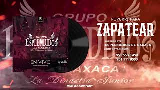 ESPLENDIDOS DE OAXACA ★ ZAPATEADO LIVE 2024 ✔ [upl. by Eniar523]