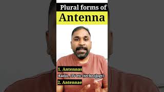 Antenna  antennas or antennae english shorts spokenenglish englishgrammar [upl. by Hsirrap]