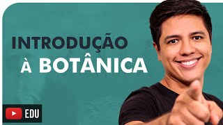 INTRODUÇÃO À BOTÂNICA  Briófitas Pteridófitas Gimnospermas e Angiospermas  Prof Kennedy Ramos [upl. by Rubio]