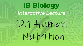 IB Biology D1  Human Nutrition  Interactive Lecture [upl. by Annotahs]