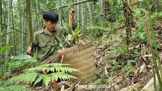 Fertilizing the gardenharvesting bamboo shoots at the end of the season to sell  Tuans daily life [upl. by Noeruat]