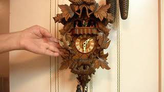 Musical 1 Day cuckoo clock [upl. by Vyky]