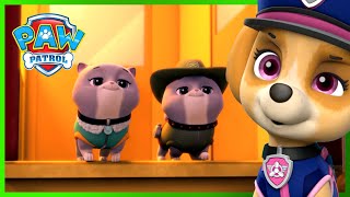 Ultimate Rescue PAW Patrol Saves the Royal Kitties and More  PAW Patrol  Cartoons for Kids [upl. by Anpas]