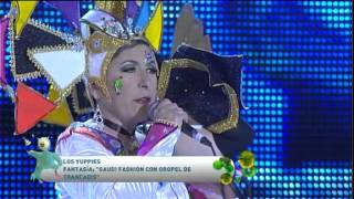 Concurso Agrupaciones Musicales Carnaval 2014  12 [upl. by Panthia]