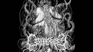 Cephalotripsy  Ulcerated Mass of Pestilent Engorgement New Promo 2011 [upl. by Libbi]