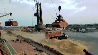 KANDLA PORT LOADING WHEAT IN BULK [upl. by Cheatham697]