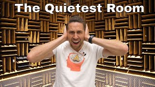 The Loudest Sound In The Quietest Room [upl. by Ramberg]