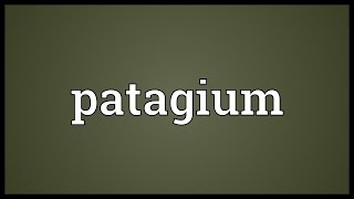 Patagium Meaning [upl. by Morty419]