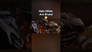 Halo Elites Are Brutal 😳 [upl. by Rock]