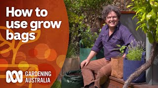 How to grow more plants and maximise space using grow bags  Gardening 101  Gardening Australia [upl. by Laenej]