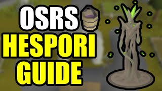 OSRS Hespori Guide  Quick Guide [upl. by Alleyn688]