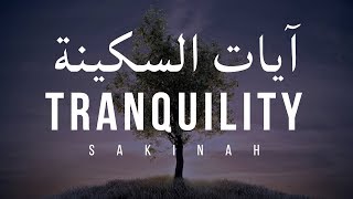 AYAT OF TRANQUILITY  SAKINAH أيات السكينة لدفع الهموم [upl. by Loria]