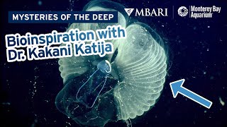 Mysteries of the Deep with MBARIs Dr Kakani Katija — Inside The Snot Palaces Of Giant Larvaceans [upl. by Emia]