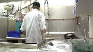 Dishwasher Career Video [upl. by Noraf]