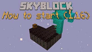 Skyblock 4 Tutorial How to Escape the Nether [upl. by Noryahs]