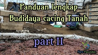 Panduan lengkap budidaya cacing Tanah part II [upl. by Novrej465]