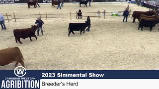 CWA 2023  Simmental Show [upl. by Amaryllis]