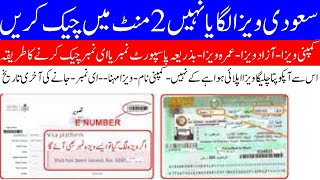 How to Check Saudi Visa Status  saudi ka visa kaise check kare online 2023  visa kaise check kare [upl. by Nygem]