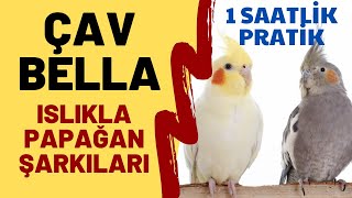 ISLIKLA ÇAV BELLA 1 SAAT  ISLIKLA PAPAĞAN ŞARKILARI  ISLIKLA BELLA CIAO [upl. by Bocaj191]