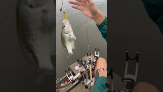 Fall crappie fishing with beetle spins at Enid Lake Mississippi USA [upl. by Fougere880]