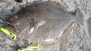 Inlet Flounder Fishing  6pound Fluke on the Rocks [upl. by Lamhaj106]