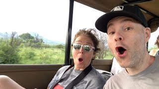 VLOG 14  South African safari amp Cape Town adventure [upl. by Aciretehs]