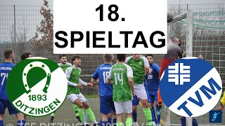 SAISON 20232024 KREISLIGA A2 SPIELTAG 18 TSF DITZINGEN VS TV MÖGLINGEN 100324 [upl. by Jollenta]