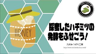 採蜜したハチミツの発酵をふせごう！【日本みつばちの養蜂】 How to Beekeeping [upl. by Nelrac]